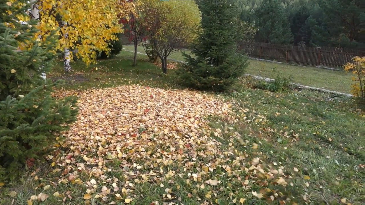 https://krasnoyarsk.mslandshaft.ru/storage/app/uploads/public/642/ac5/f22/642ac5f2293e2935715739.jpg